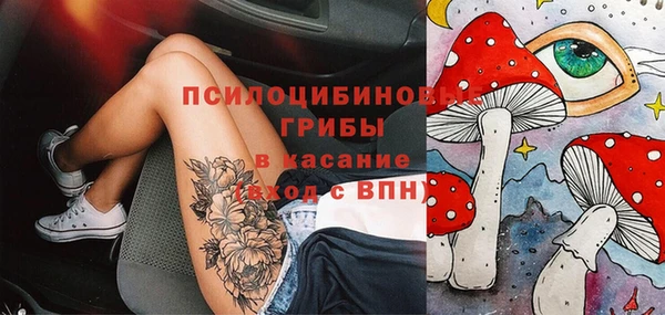 прущие крисы Абаза