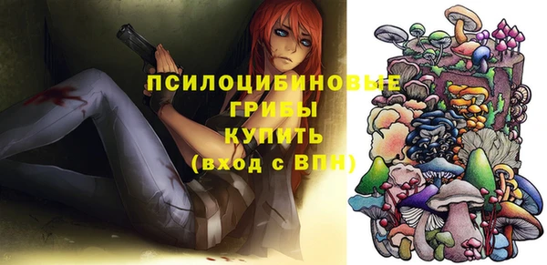 тгк Рославль