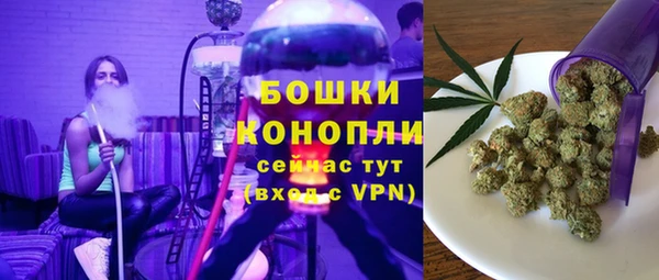 сатива Россошь