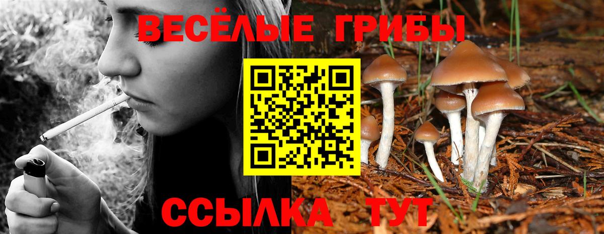 Галлюциногенные грибы мицелий Ивантеевка